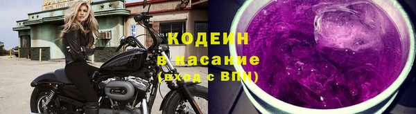 мдпв Инта