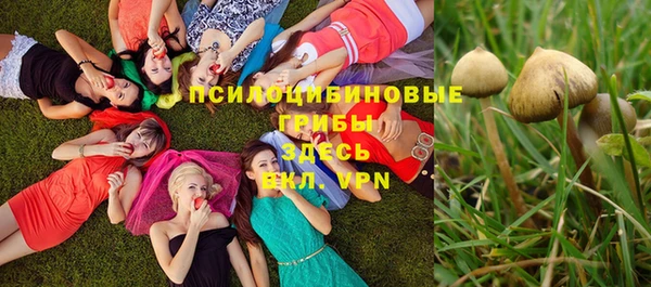 мдпв Инта