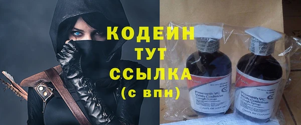 мдпв Инта