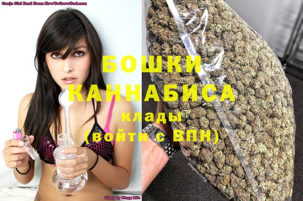 мдпв Инта