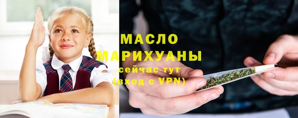 мдпв Инта