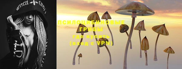 шишки Иннополис