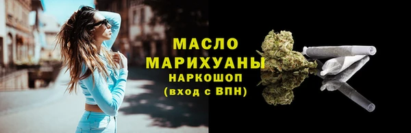 мдпв Инта