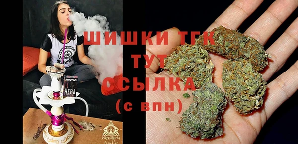 мдпв Инта