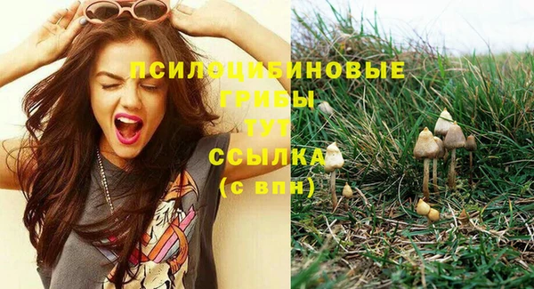 jwh Инсар