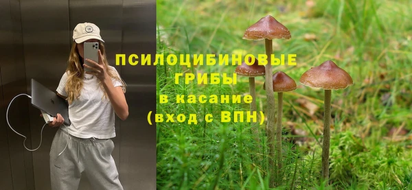 jwh Инсар