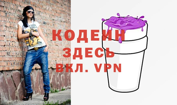 мдпв Инта