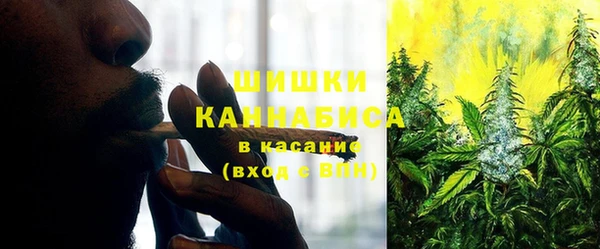 шишки Иннополис