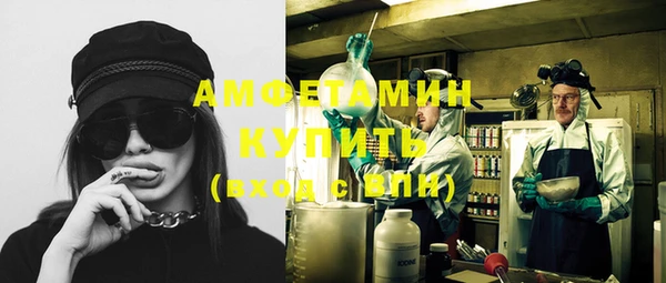 шишки Иннополис