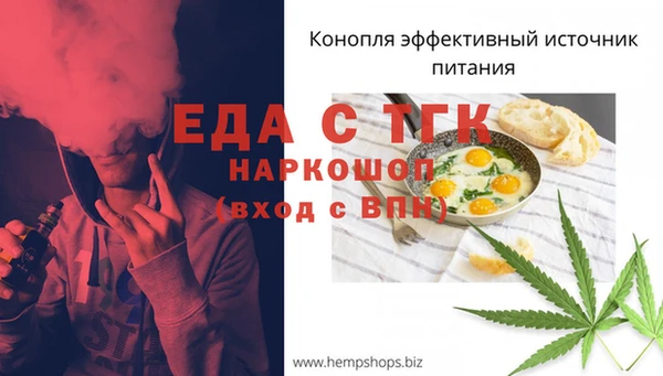 мдпв Инта