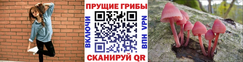 Купить  Ишимбай  Псилоцибиновые грибы MAGIC MUSHROOMS 